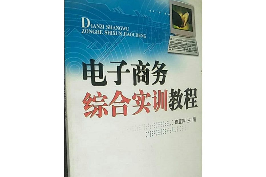 電子商務綜合實訓教程(2008年中國計量出版社出版的圖書)