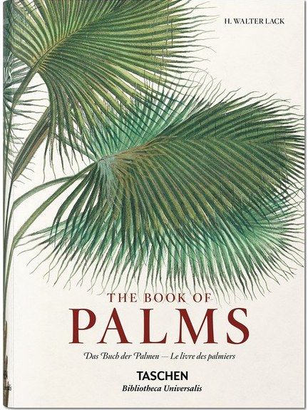 The Book of Palms