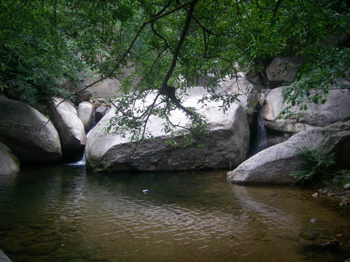 洛陽嵩縣天池山國家森林公園