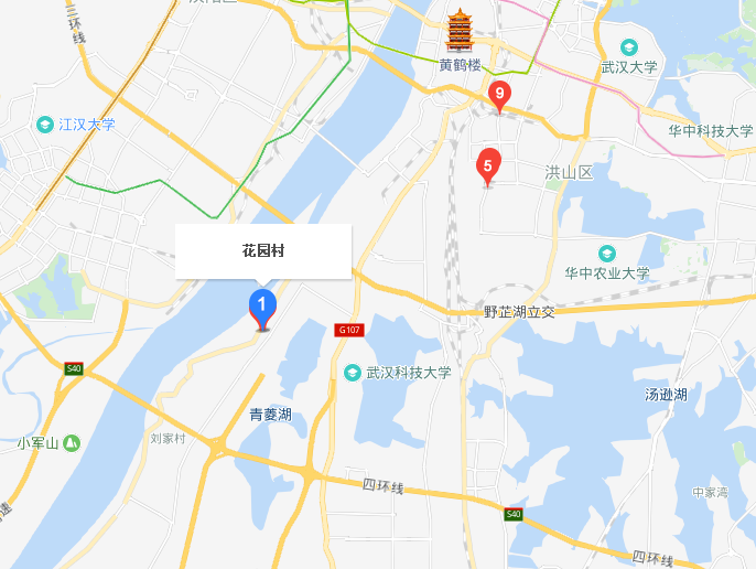 花園村(湖北省武漢市洪山區青菱鄉花園村)