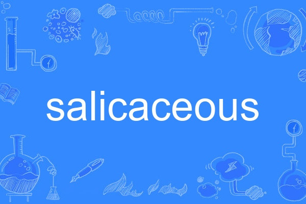 salicaceous