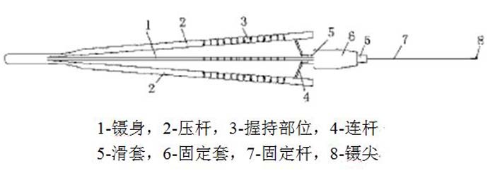 圖2 眼科用顯微鑷結構示意圖