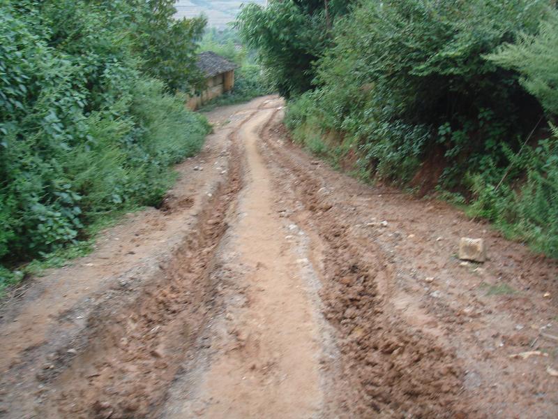 甸頭寨二自然村通村道路