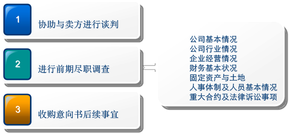 Mini盡職調查