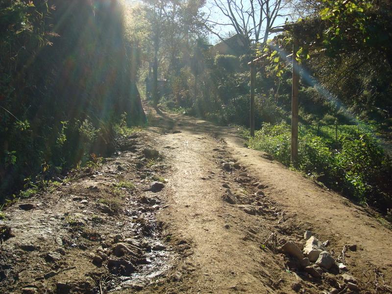 進村道路