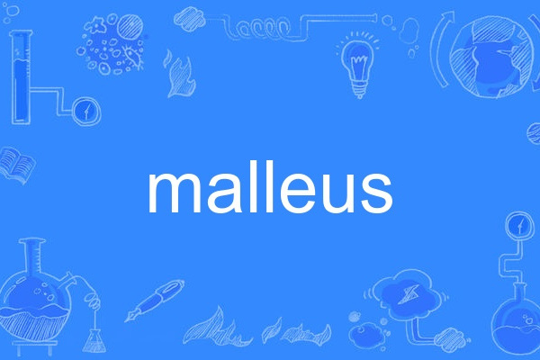 malleus