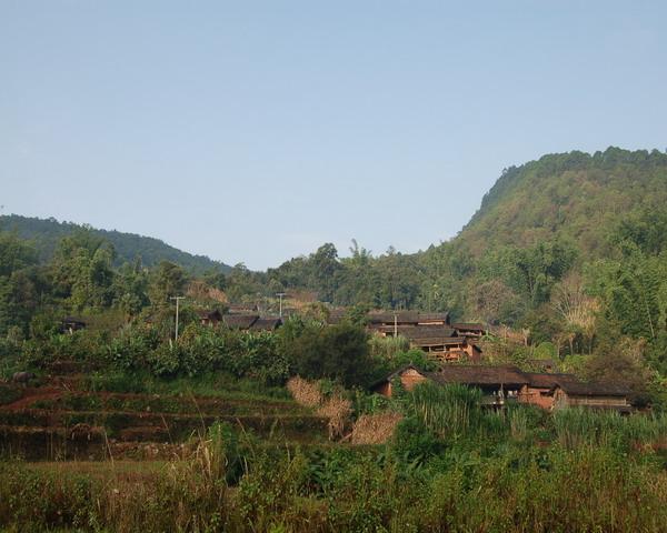 青山中自然村