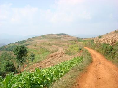 進村山路