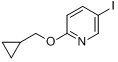 2-（環丙基甲氧基）-5-碘吡啶