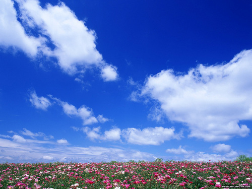 雲動力學