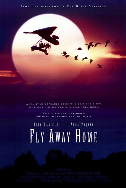 Fly Away Home　海報　