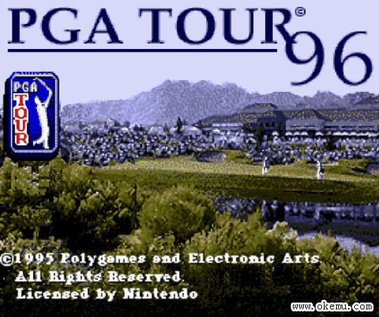 PGA高爾夫公開賽96