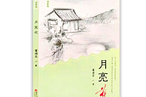 月亮花(2021年百花洲文藝出版社出版的圖書)