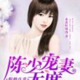 假婚真愛：陳少寵妻無度(未知創作的網路小說)