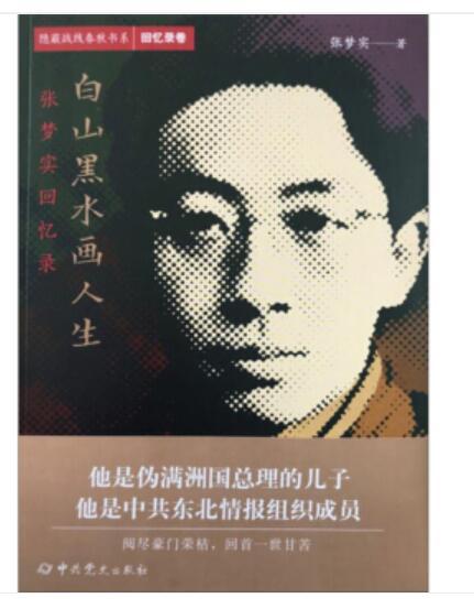 隱蔽戰線春秋書系·回憶錄卷：白山黑水畫人生