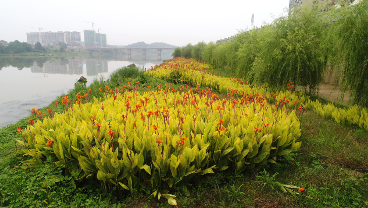 湖南衡東洣水國家濕地公園