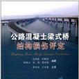 公路混凝土梁式橋結構損傷評定(人民交通出版社出版的書籍)