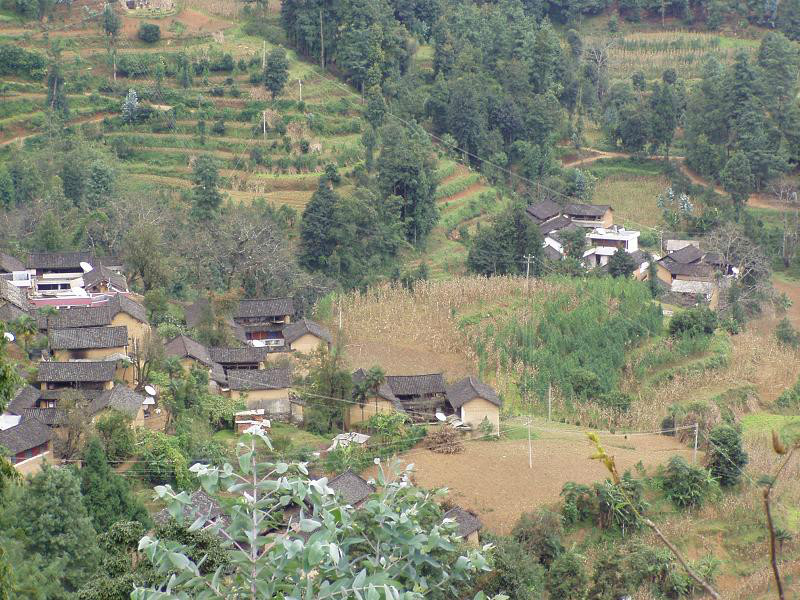 大寺村(鳳慶縣大寺鄉大寺村石龍頭小組)