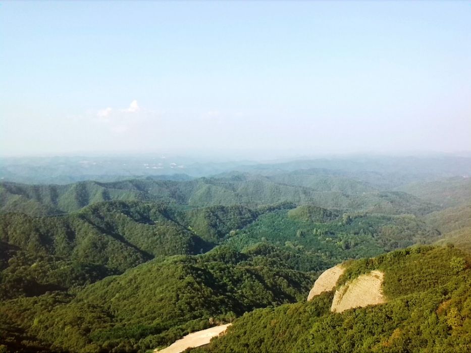 陝西橋山省級自然保護區