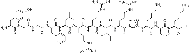 強啡肽A(1-13)