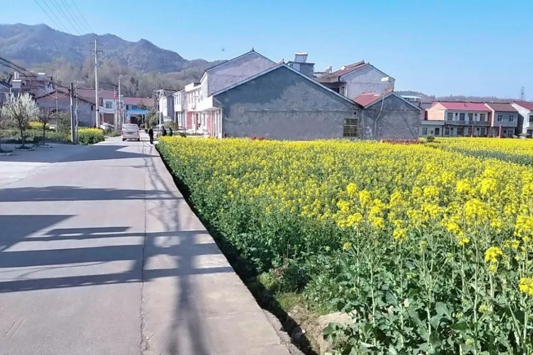 高家店村(陝西省漢中市西鄉縣柳樹鎮下轄村)