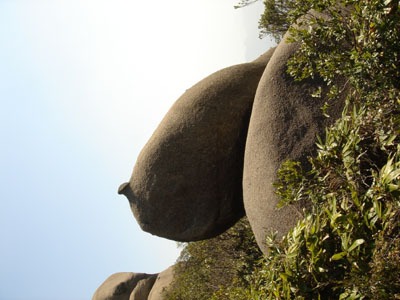 大封門森林公園