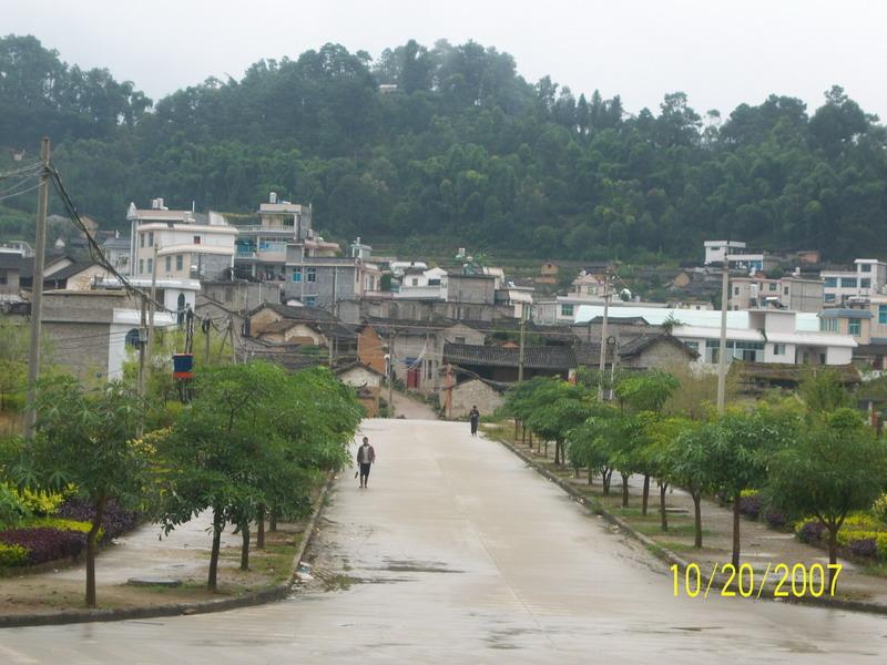 東城社區(雲南省鳳慶縣鳳山鎮東城社區)