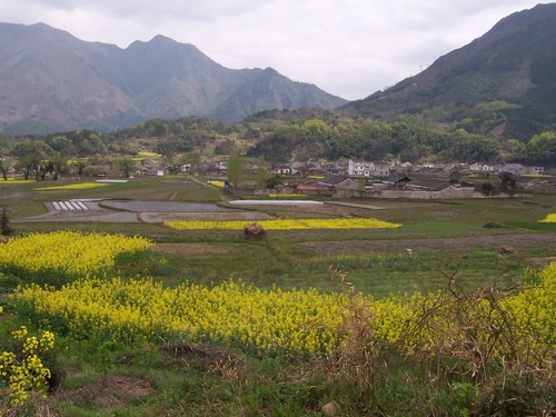 安徽南容村