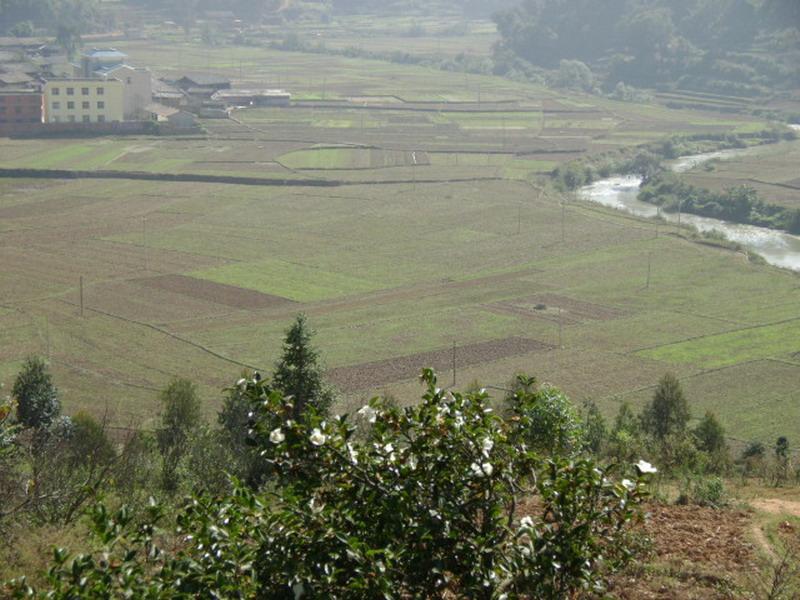 稻田二村