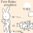 Fate Reincarnation