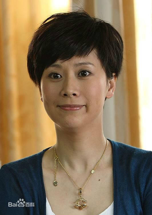 媳婦的美好時代(2009年劉江執導電視劇)