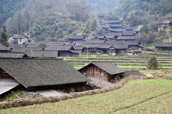 坪年村