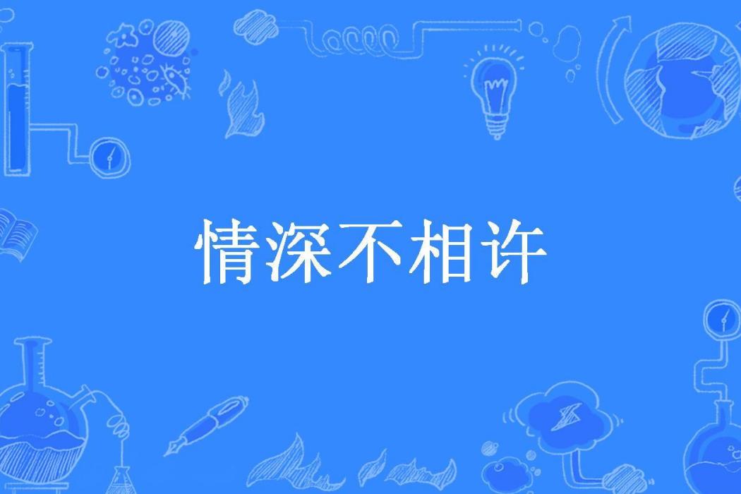 情深不相許(沐情澀所著小說)