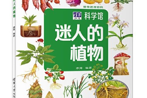 迷人的植物(2019年清華大學出版社出版的圖書)