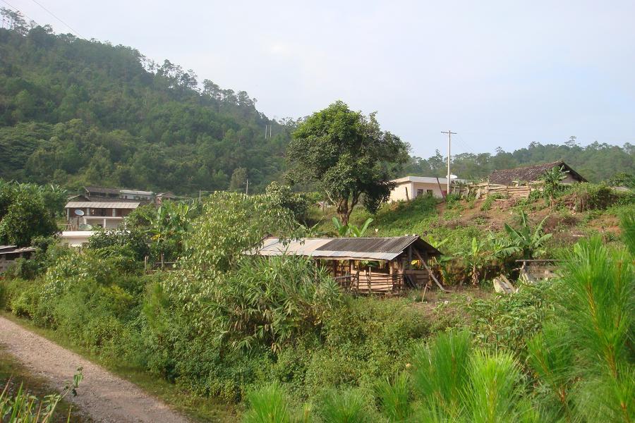 村莊全景