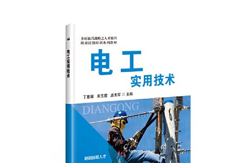 電工實用技術(2019年中國農業科學技術出版社出版的圖書)