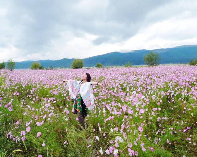 一路格桑花