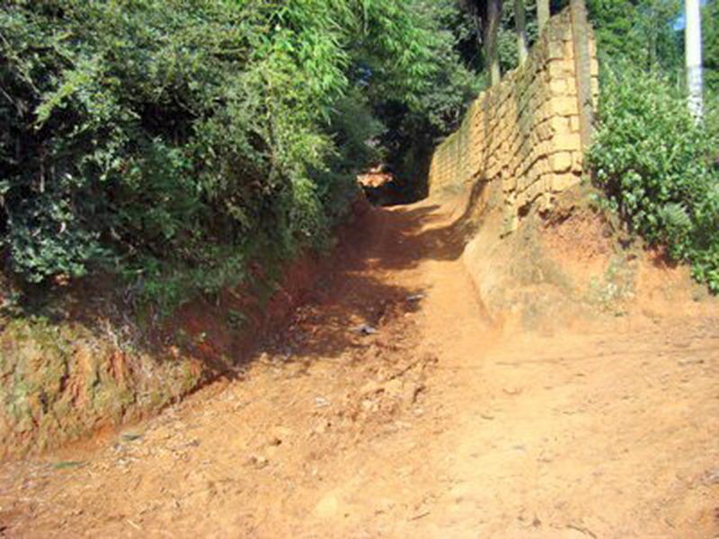 垂楊柳村道路