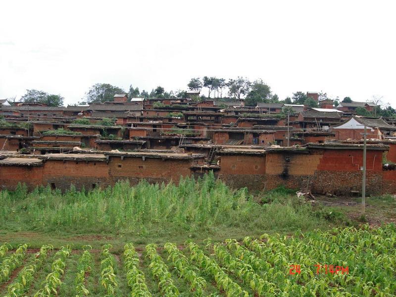 他臘大新寨村