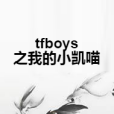 tfboys之我的小凱喵