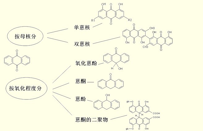 分類