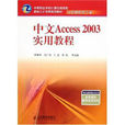 中文access2003實用教程