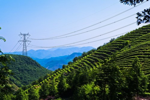 關山自然村(雲南省雲縣茶房鄉關山自然村)