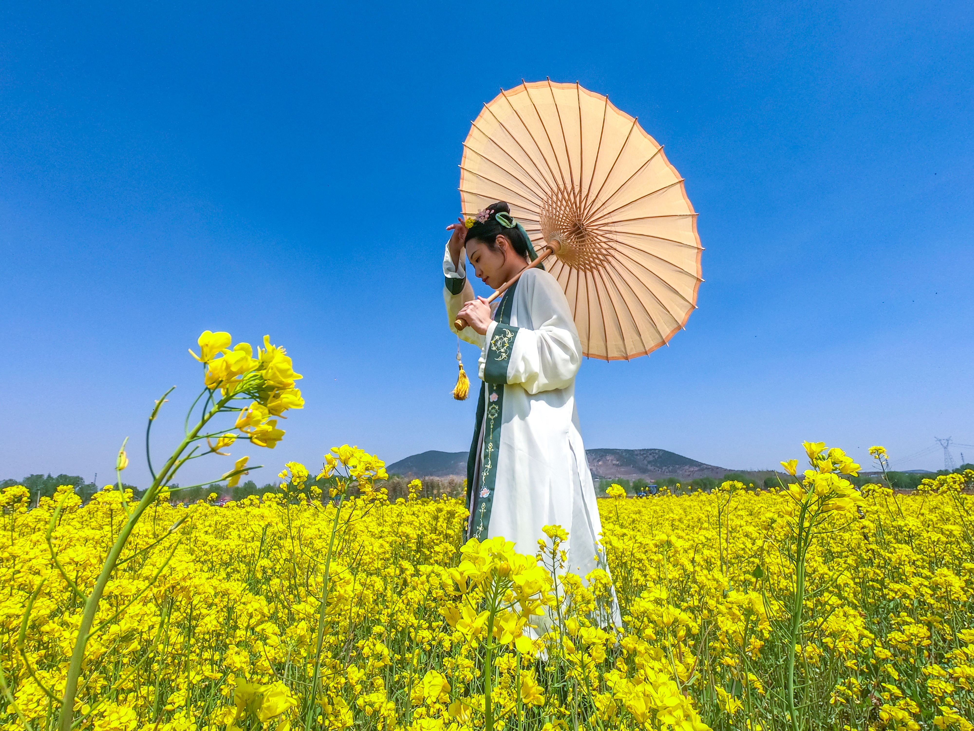 沂蒙花海