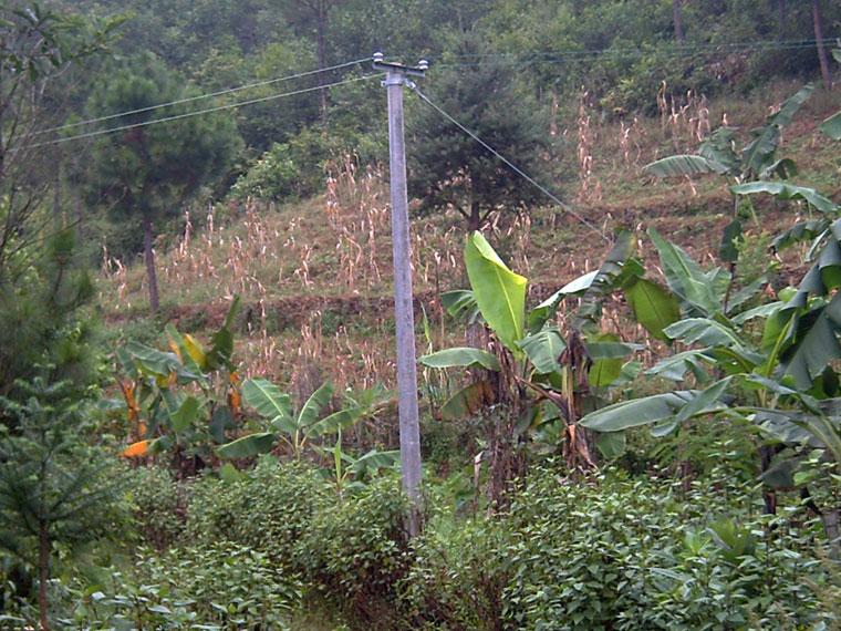 龍塘田自然村