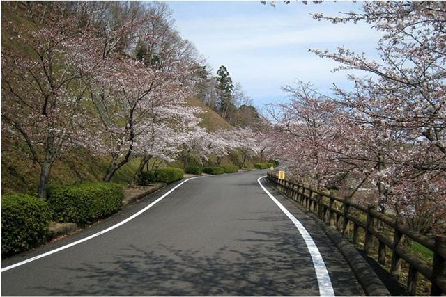 安徽神山國家森林公園