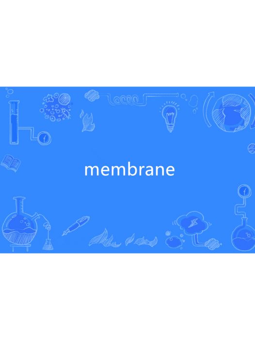 Membrane