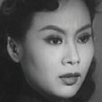 美人恩(1951年吳回執導電影)