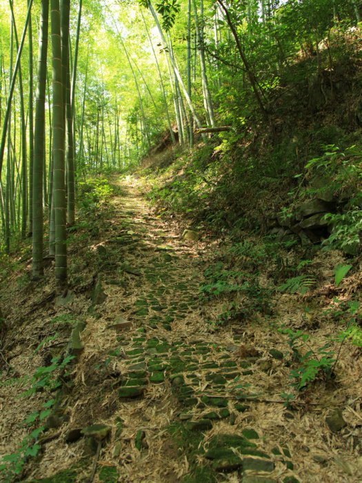 梅山嶺古道