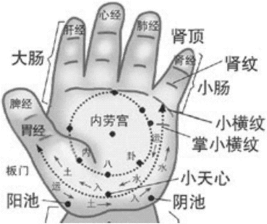 小橫紋